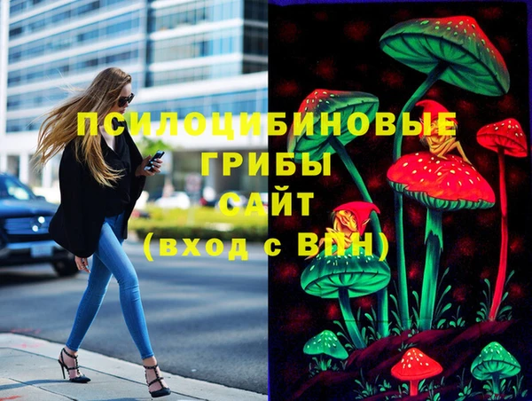 тгк Нефтекумск