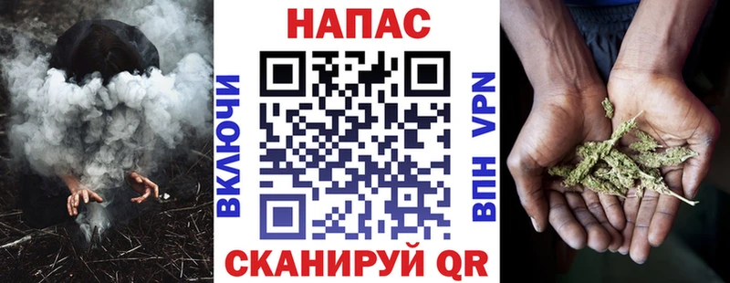 кракен tor  Лермонтов  Конопля сатива 